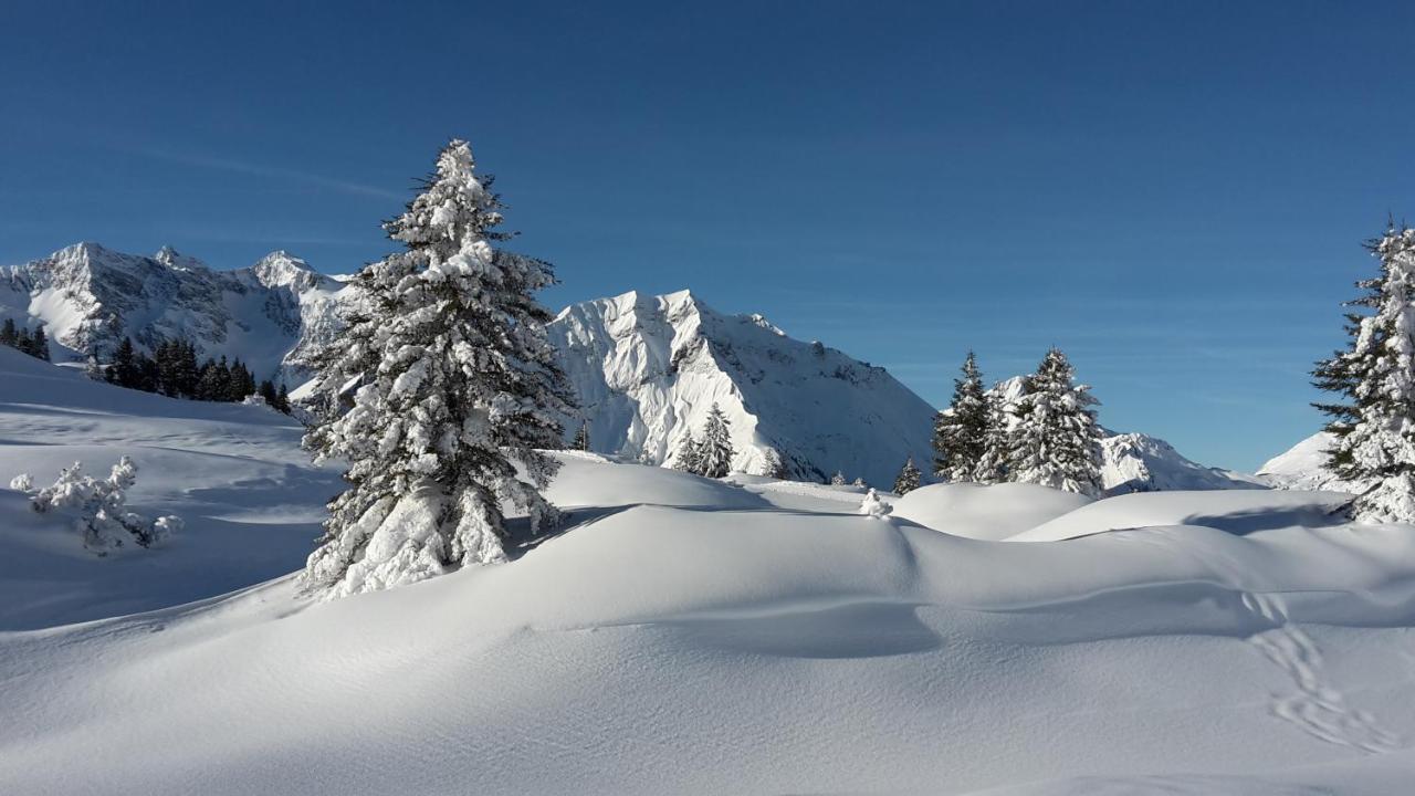 Landhaus Marion Holzgau Extérieur photo